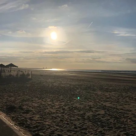 Viree A Dunkerque Entre Et Apartment